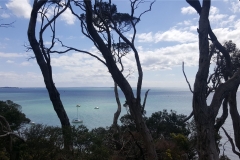 Enjoy a stroll along blairgowrie beach