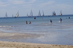 Enjoy a swim while watching the yachts race on the bay
