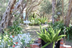 Rear-garden